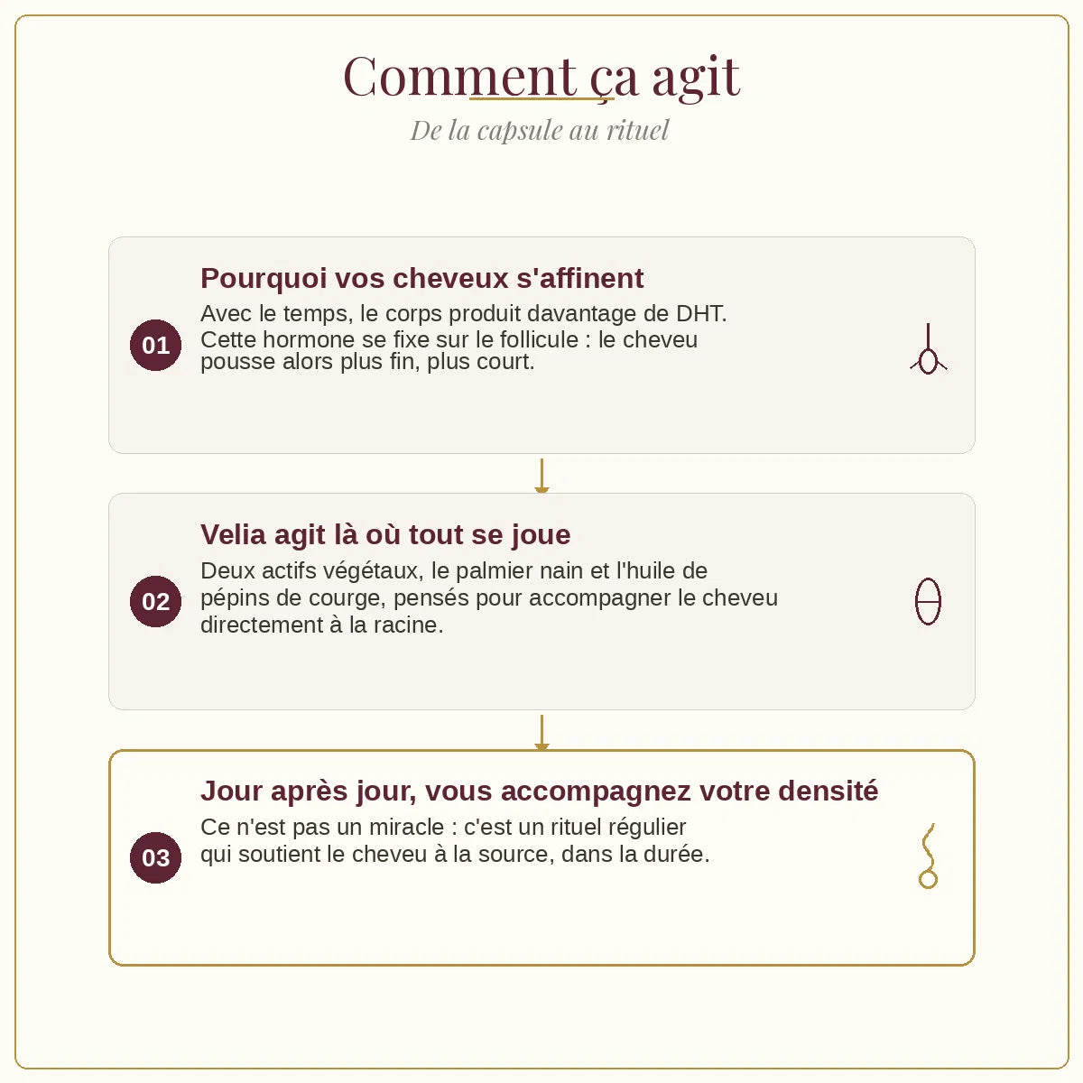 Velia Densité — Cure anti-chute