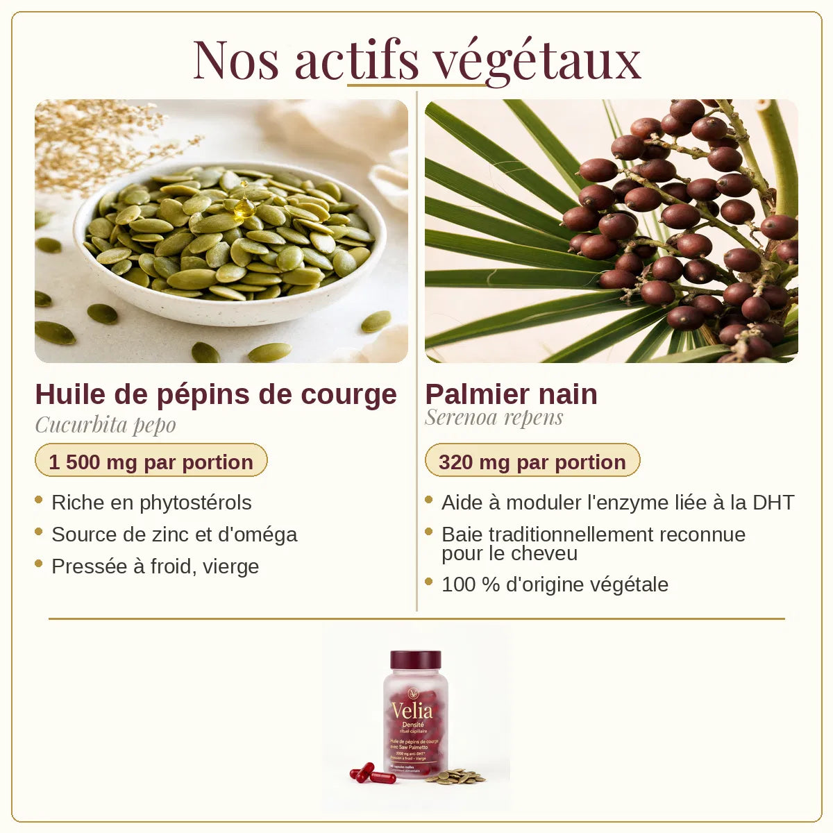 Velia Densité — Cure anti-chute